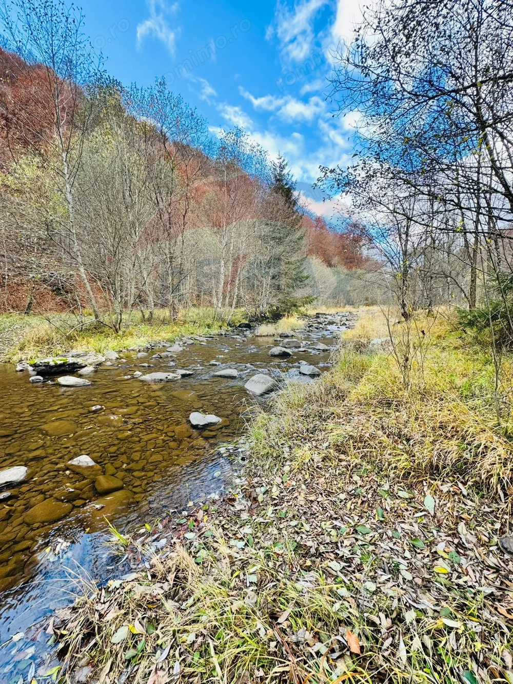 Teren 4,877mp Mara / Strada Principala