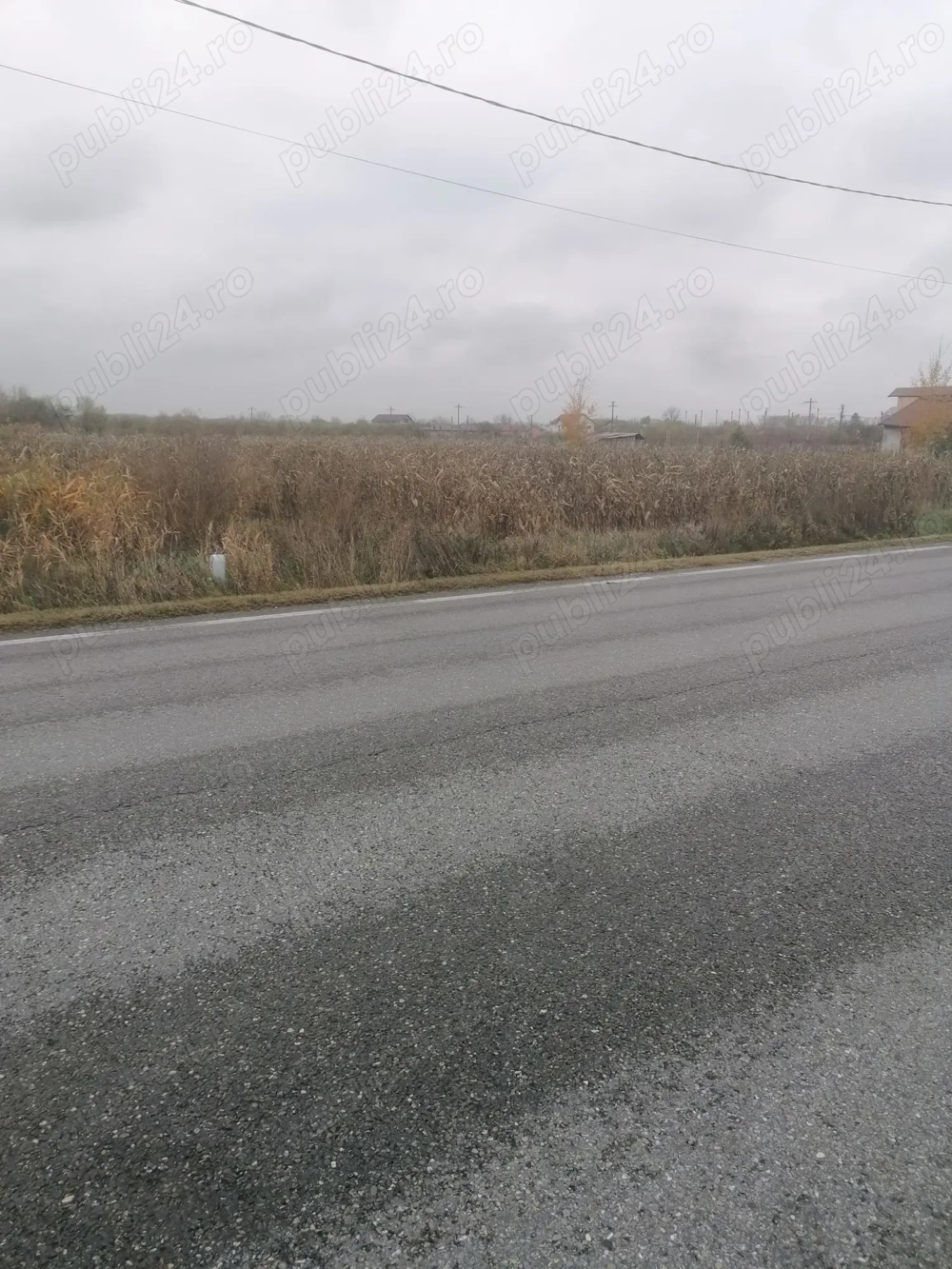 Teren de vânzare Săcueni Dambovita, situat lângă Târgovişte.