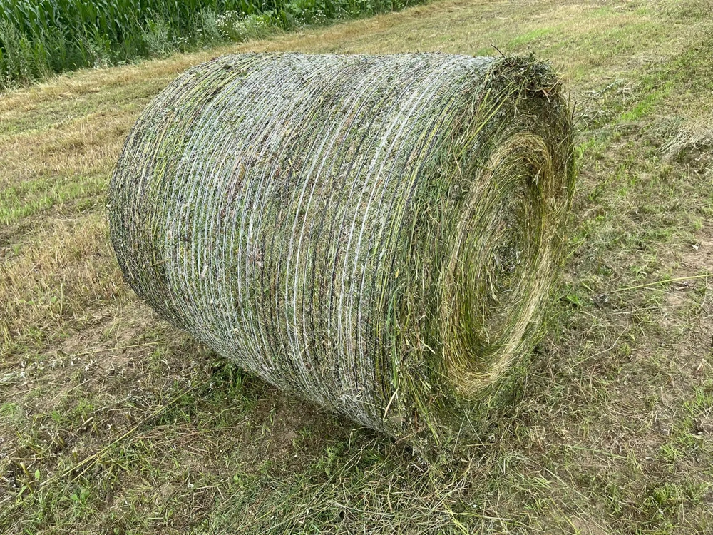 Baloți de calitate de fan si semifan din lucerna în  agricultură ecologică sau schimb cu vitei carne