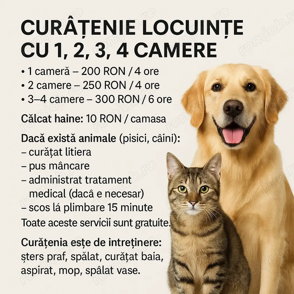 Menajeră cu experienta 4 ani