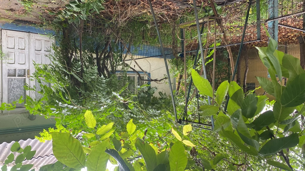 Casă de vânzare în Bivolari, jud. Iași   3 camere, teren 1152 mp