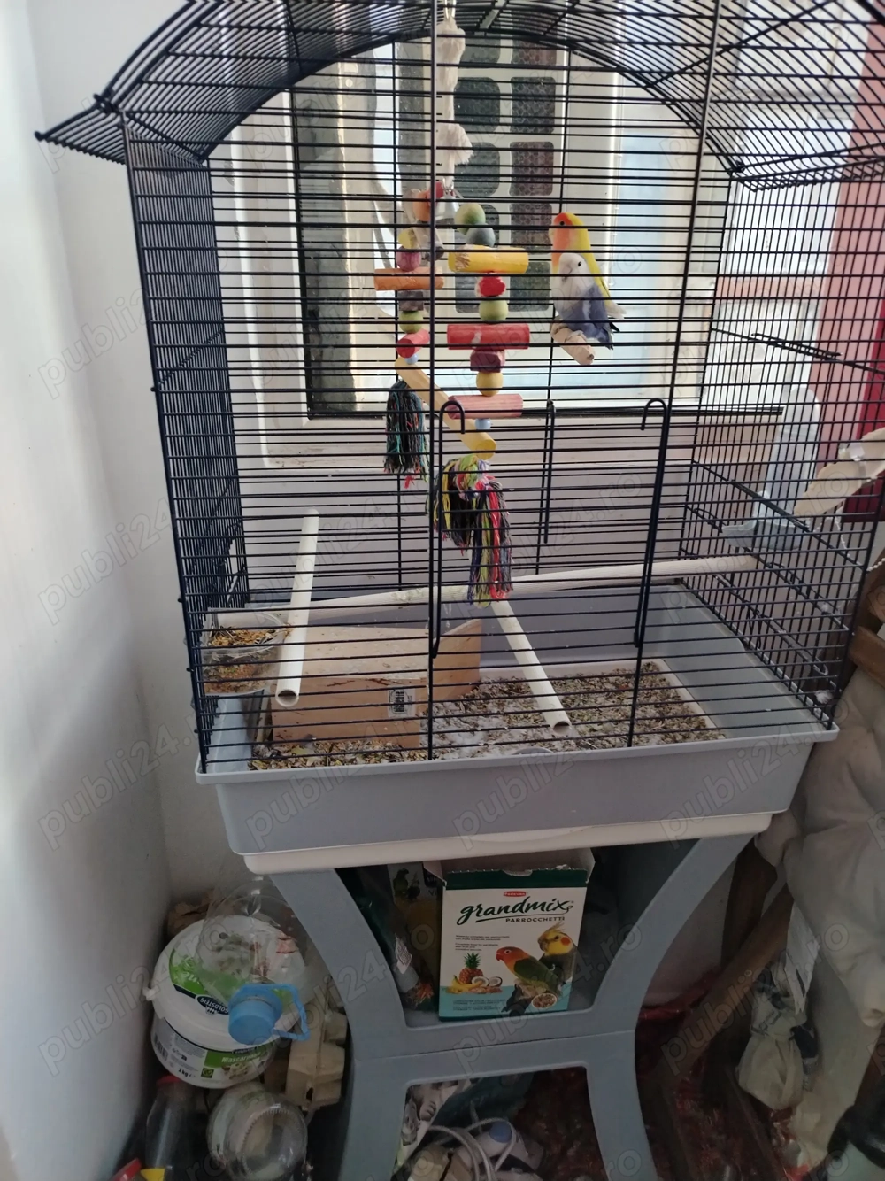 Papagali Agaponis+Colivie suport. 