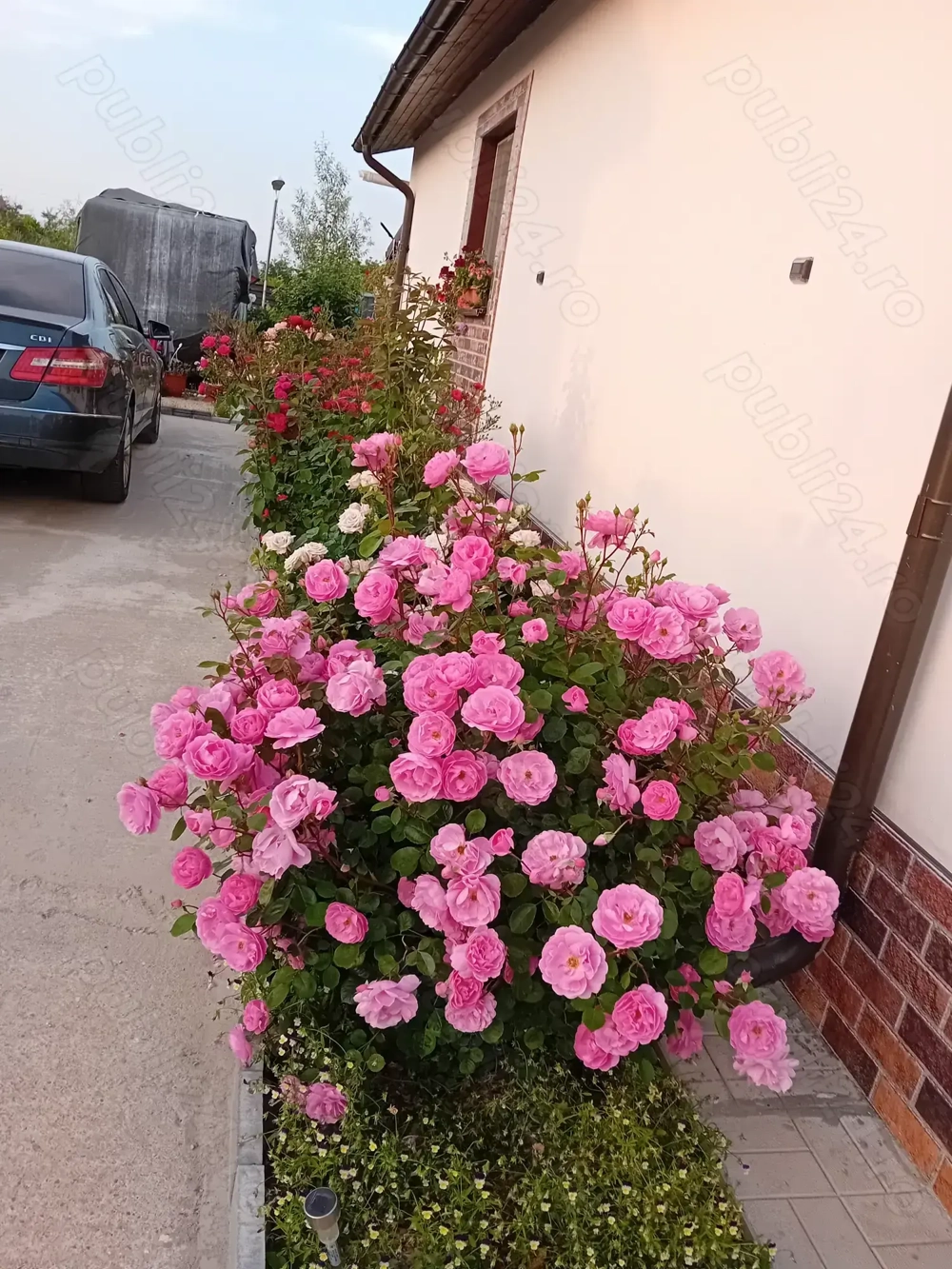 Casa 70mp complet utilata și mobilata 125 000 e negociabil