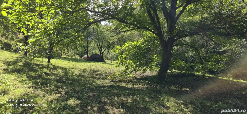 Vand casa+teren 5300 mp Breaza de Sus Nistoresti Prahova