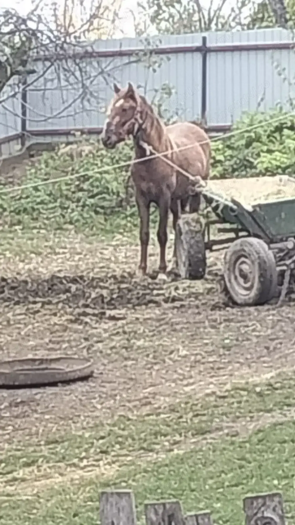 De vânzare..........