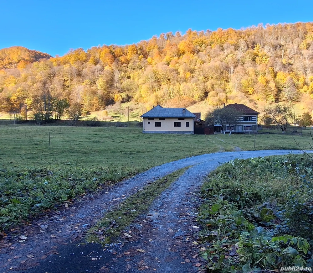 Casă de vânzare Remeți 