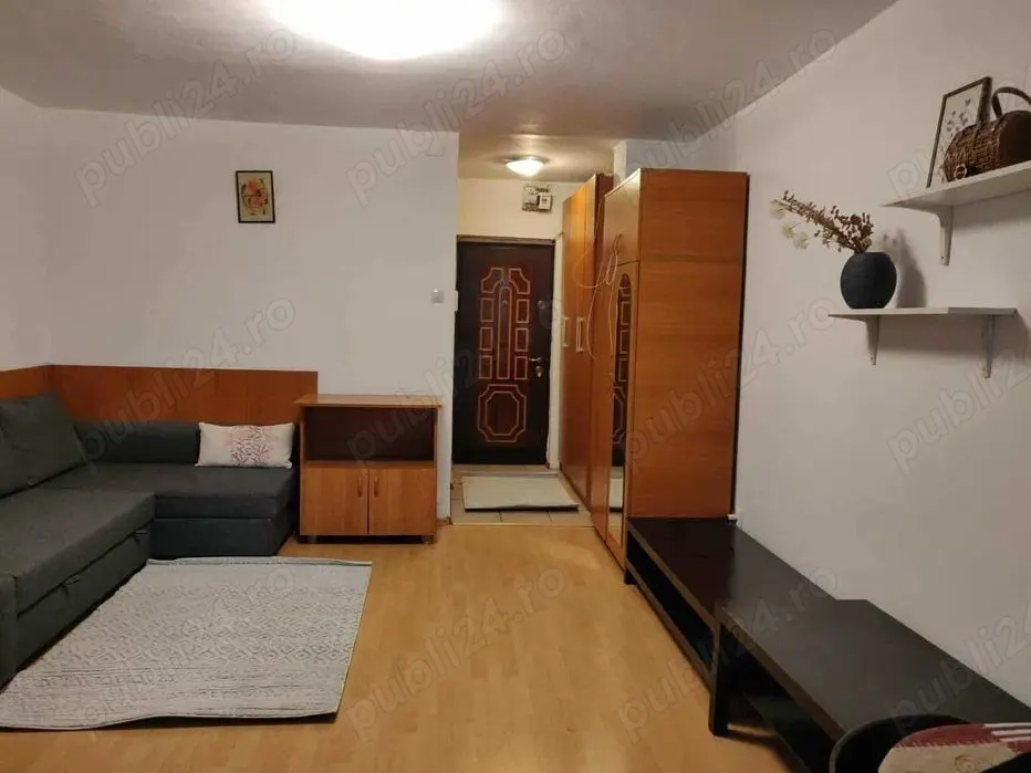 garsoniera iancului-metrou 5 minute