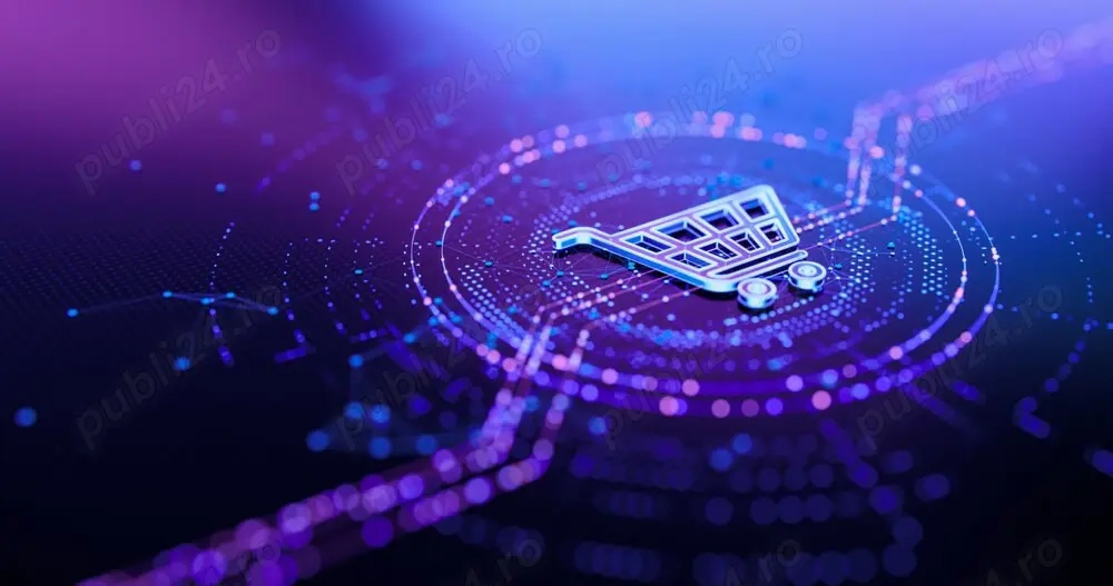 Afacere online la cheie: e-commerce magazin online cu stoc. SRL 2019