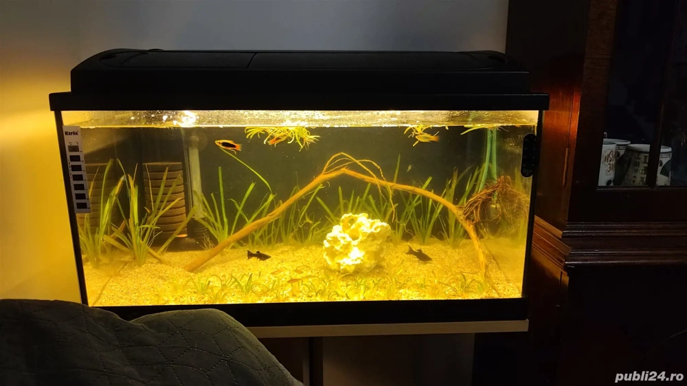 Acvariu 54 l cu capac decor plante filtru