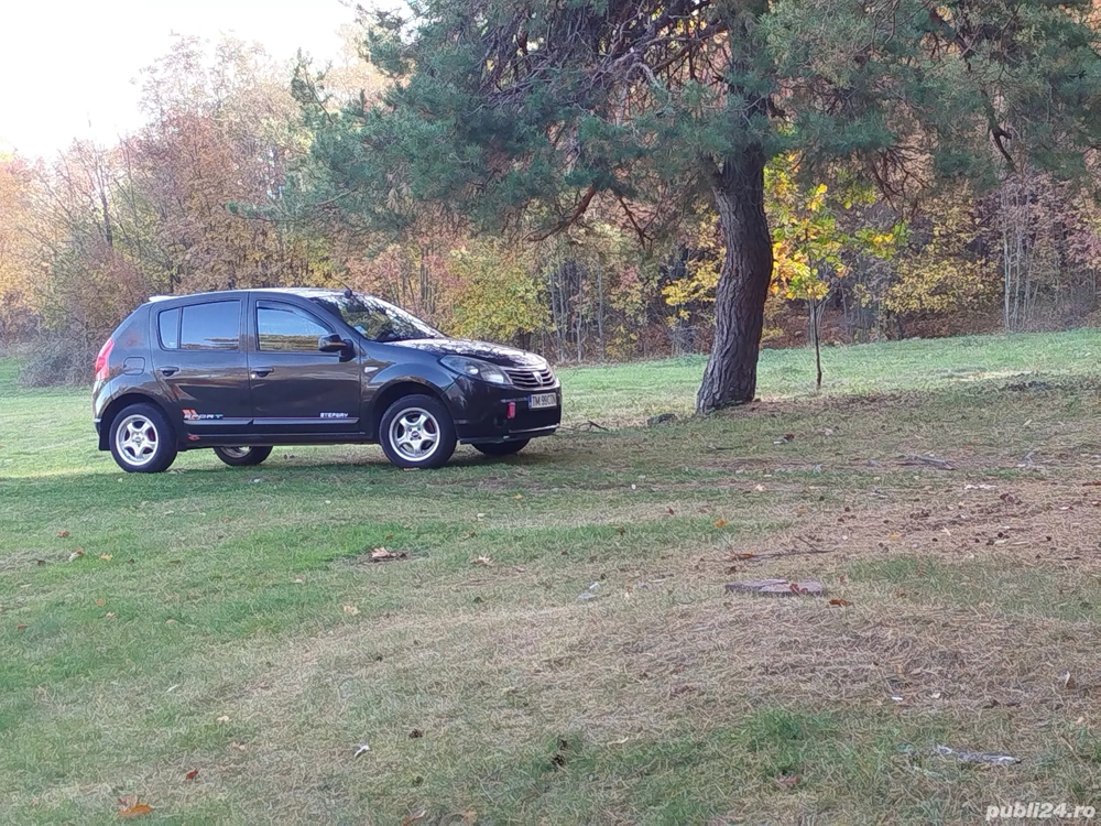 Sandero stare perfecta