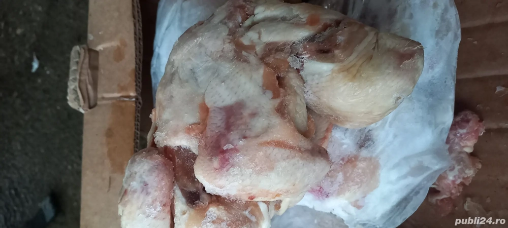 Oase și carne pentru ciini