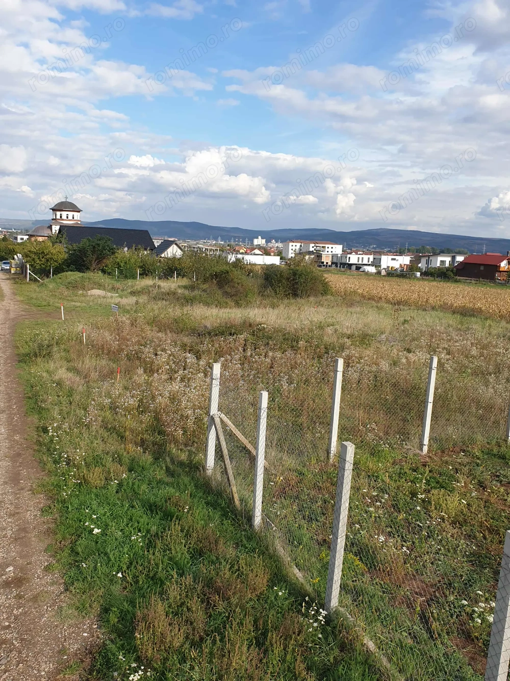 Vând teren Alba Micesti partea stingă 