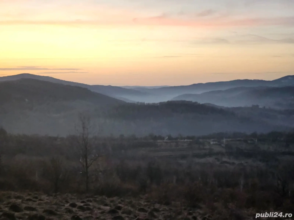 Teren de vânzare 4750 mp Vânători extravilan drum 4x4