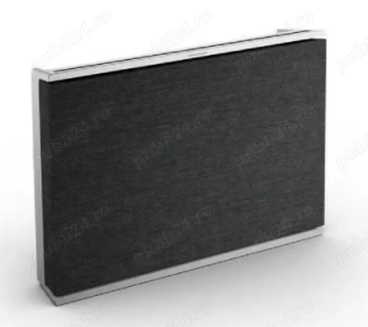Bang & Olufsen Level boxe 