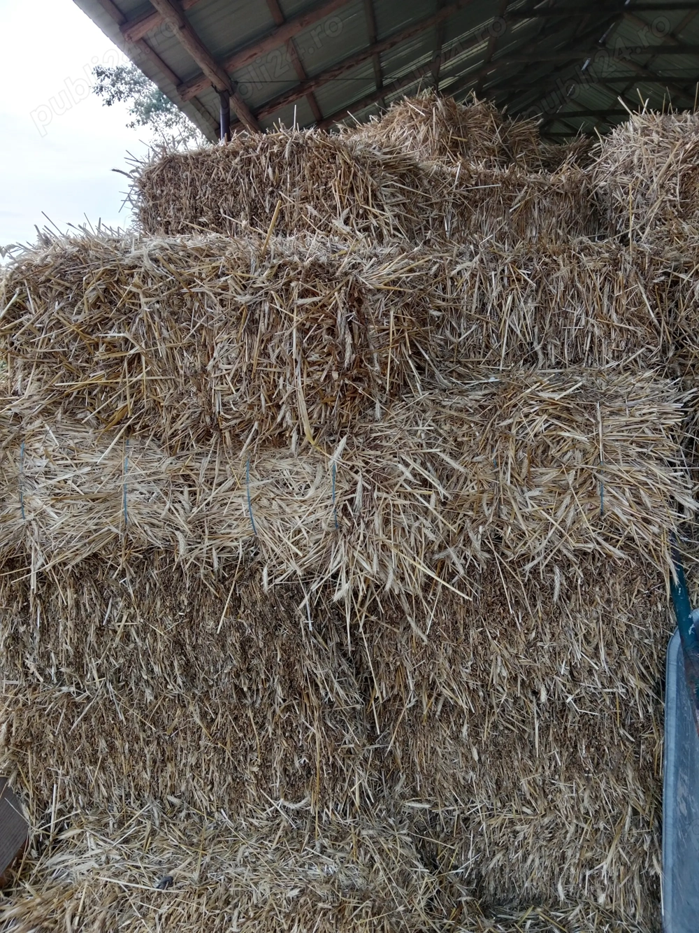 De vânzare   baloți de paie 