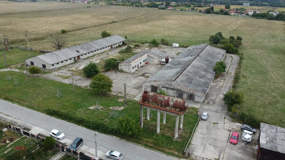 Hale de vânzare in comuna Ciofrângeni, județ Argeș.