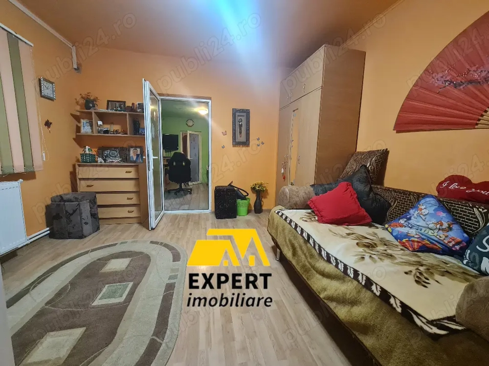 Casa Brailita sup 577 mp ,mobilata complet