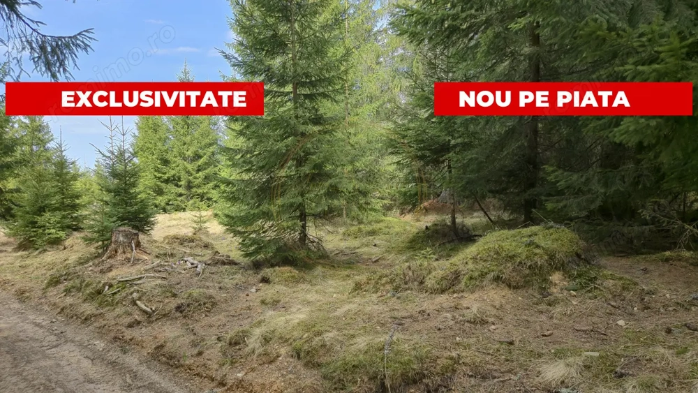 Terenuri cu PUZ, 700 - 1000+ mp, in Marisel, la 400 m de partia de Ski