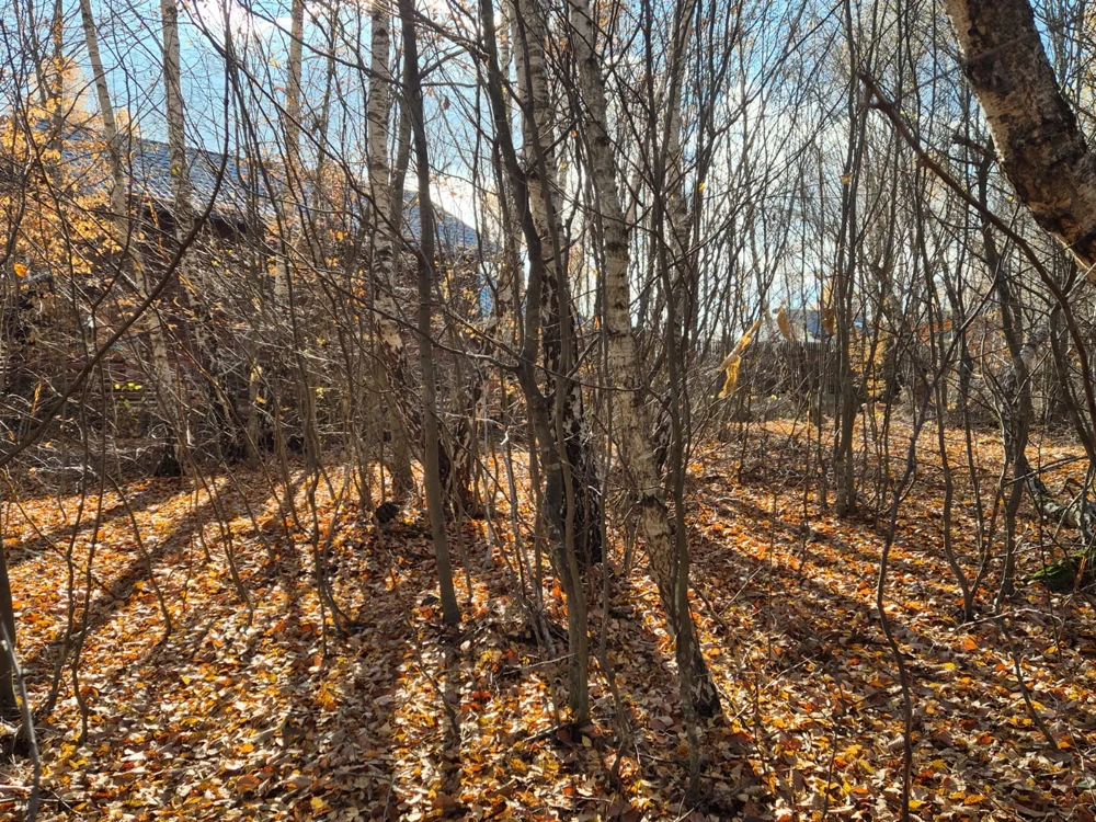 Vând teren Casele Micesti 