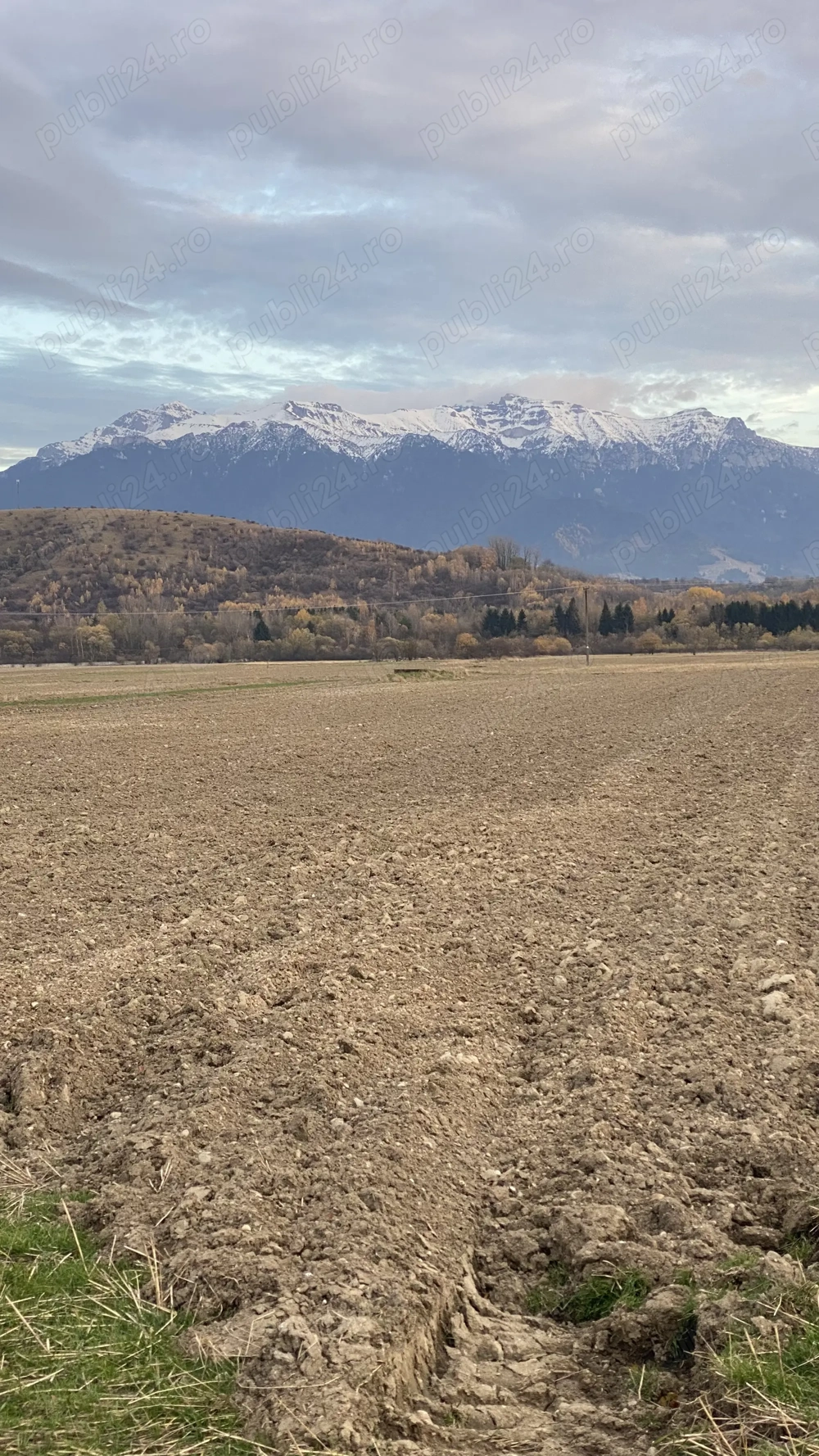 Vand teren in Zarnesti, suprafața de 3884mp