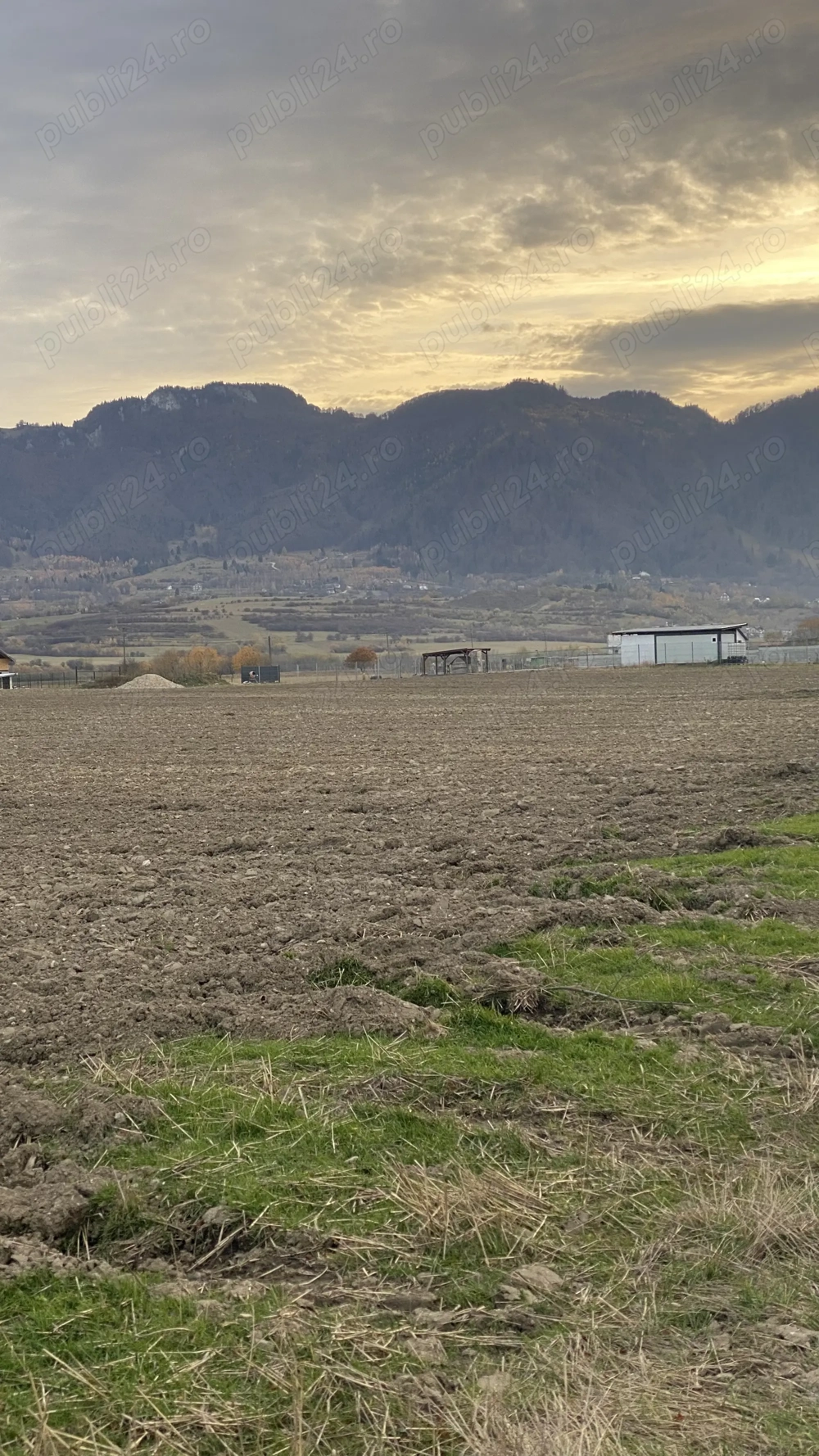 Vand teren in Zarnesti, suprafața 7884mp