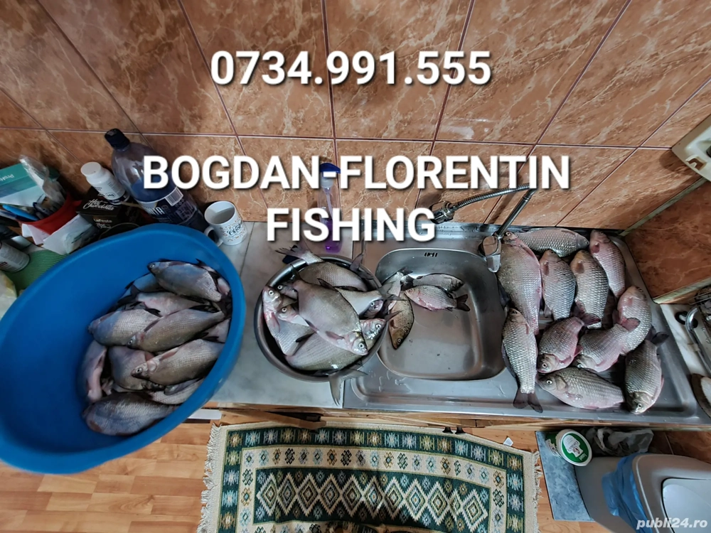 Pește proaspăt sălbatic 