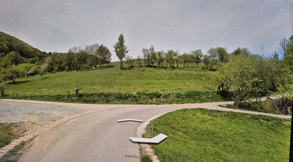 Teren intravilan 2500 mp   Comuna Sohodol, sat Peleș, județul Alba