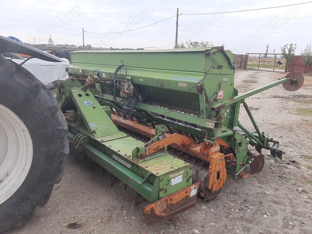 Semanatoare paioase  Amazone 