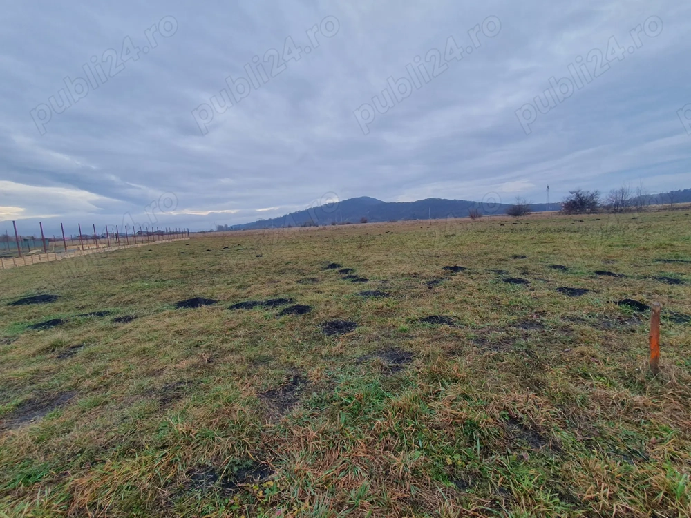 Teren de vânzare în Hărman 