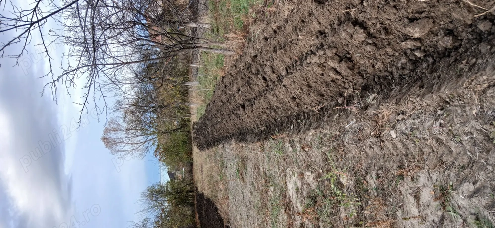 Nibbi 319G slanzi italia 