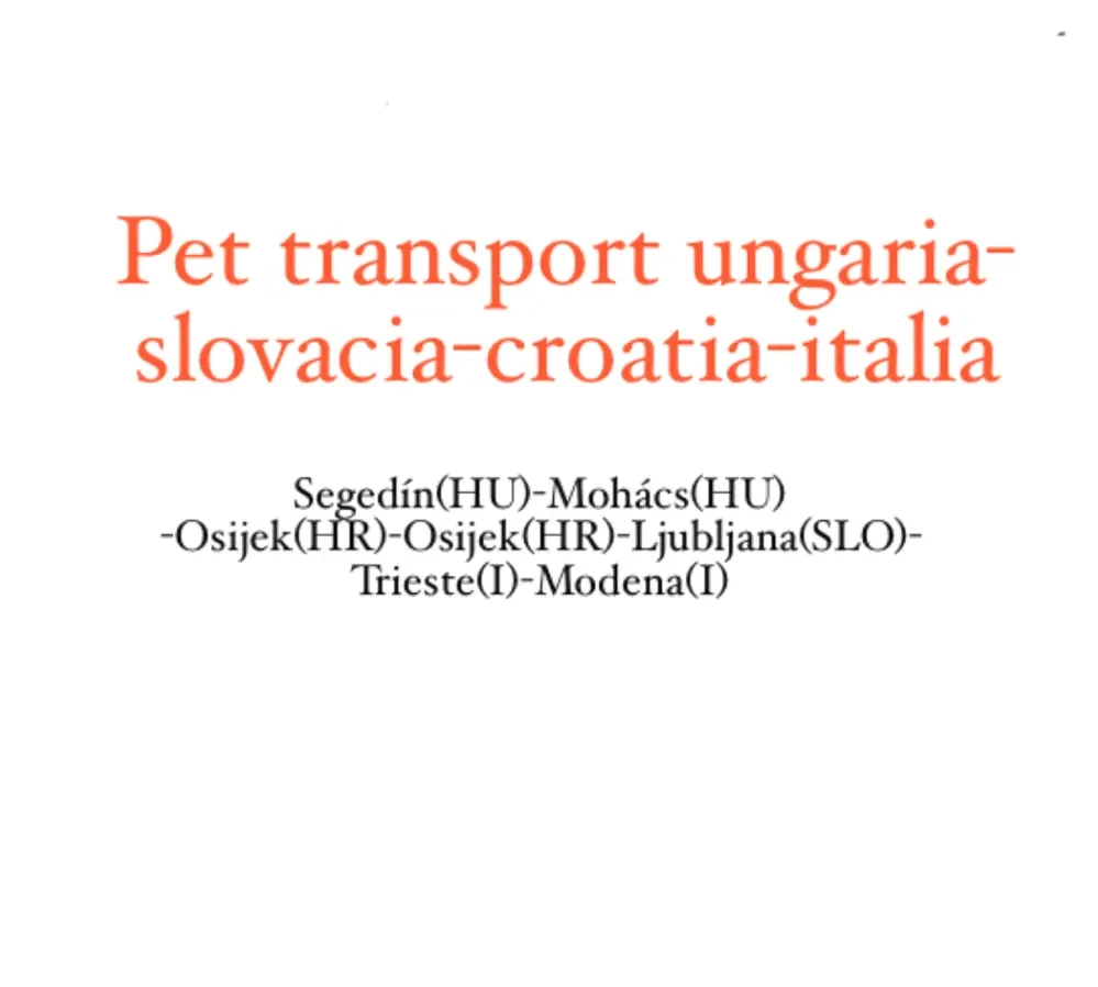pet transport Romania-Italy
