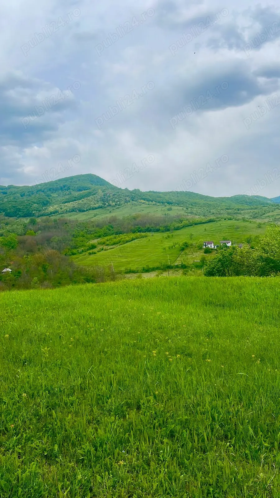 Terenuri extravilane de vânzare   Cozieni, jud. Buzău 