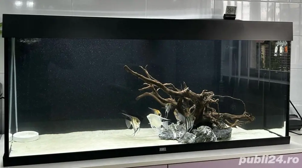 Acvariu Juwel Rio 240 litri