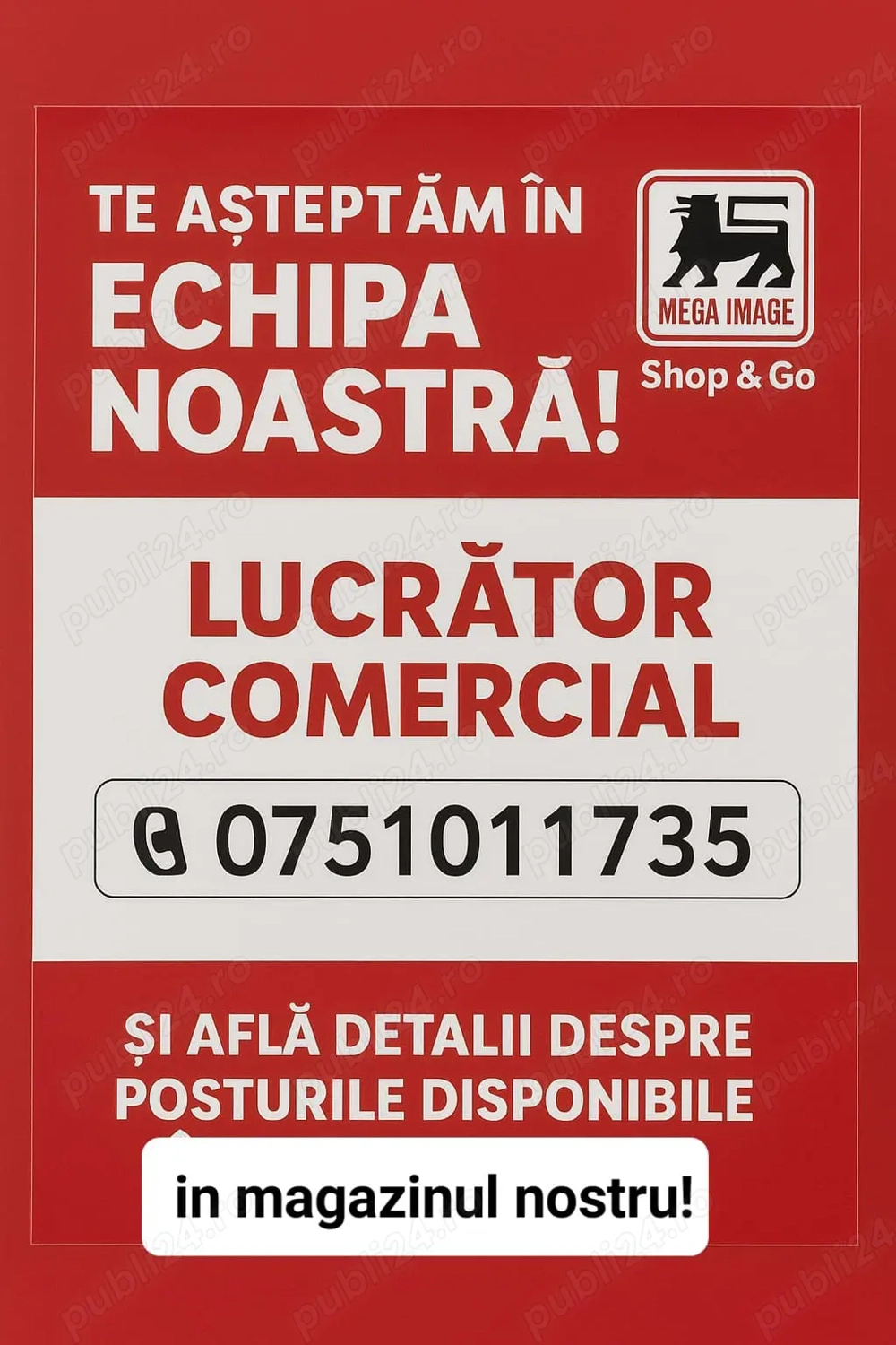  Echipa Mega Shop&Go