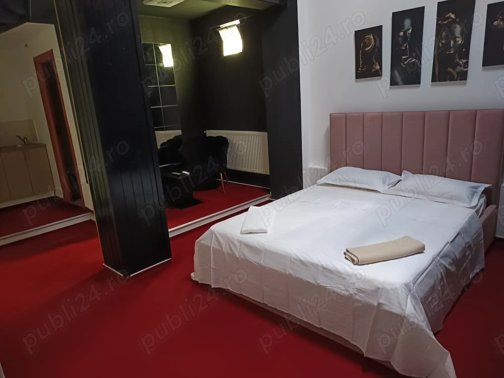 Camere regim hotelier Floreasca 