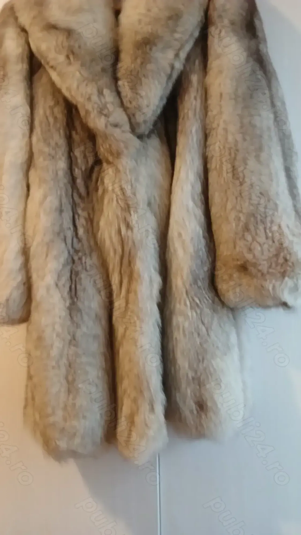 Blana naturala de vulpe argintie