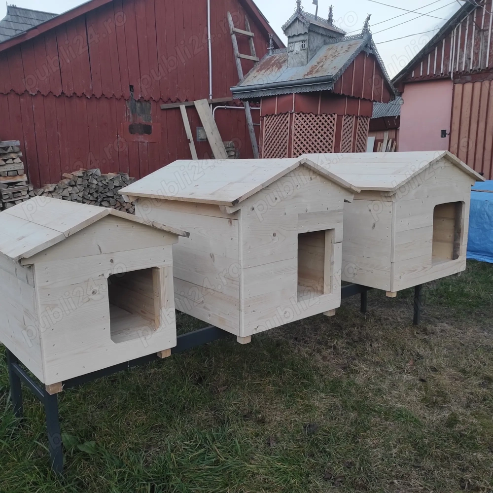 Cușca câine, lambriu sau scândură 