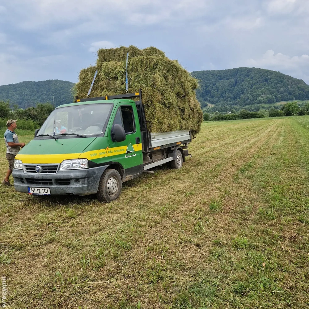 Baloti fân și lucernă 