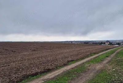 Vând teren agricol extravilan 