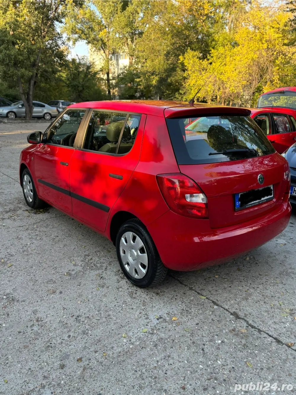 Skoda Fabia-2009-Benzina