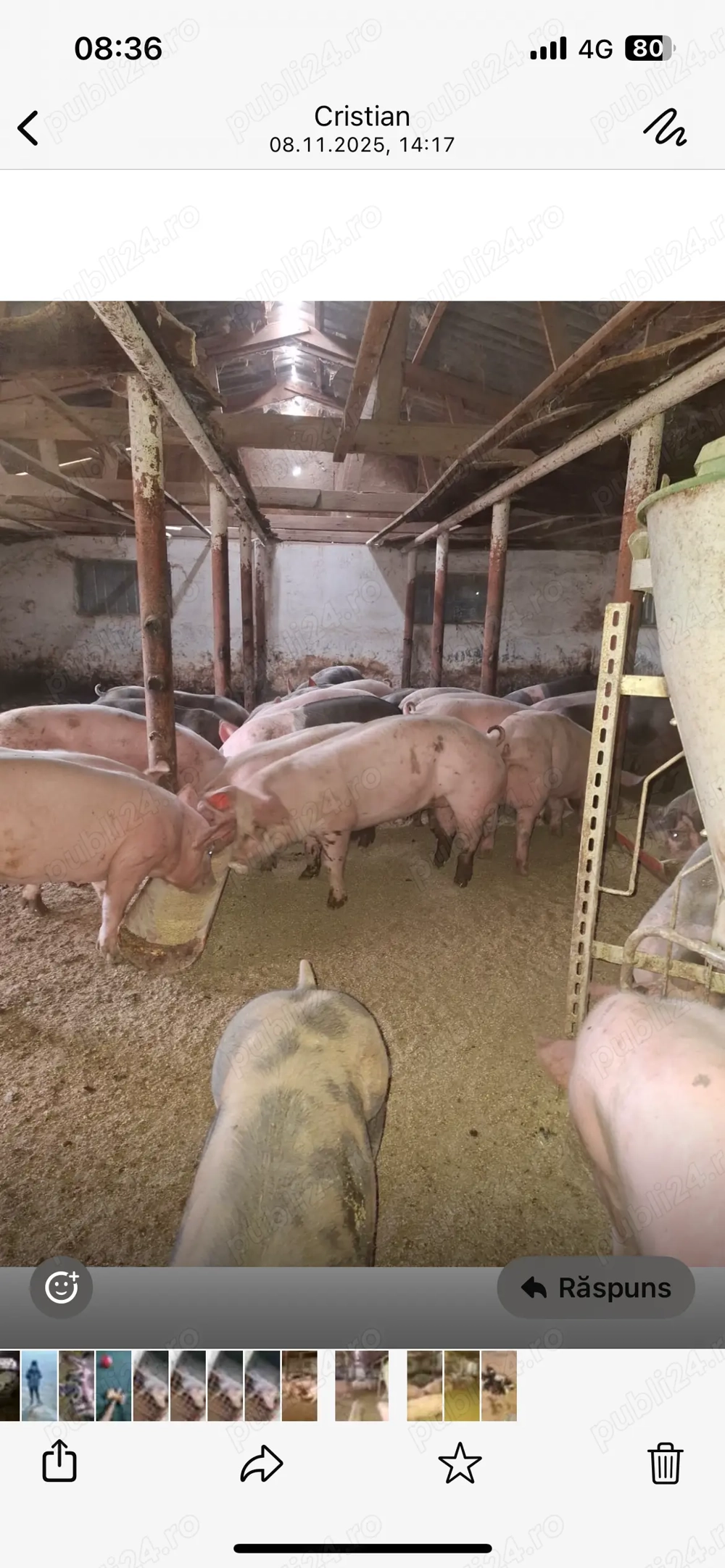 Schimbă locația sau pentru Craciun