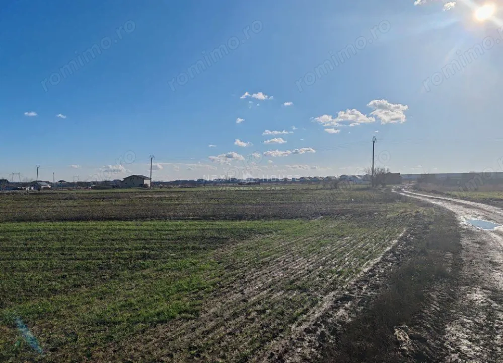 Teren Joita -  Bacu - Dragomiresti