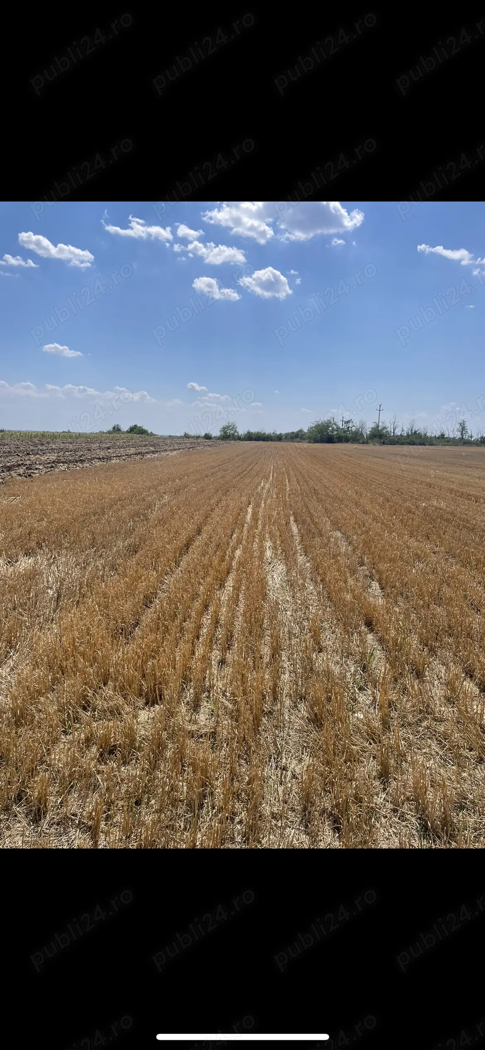 Teren intravilan de vânzare 