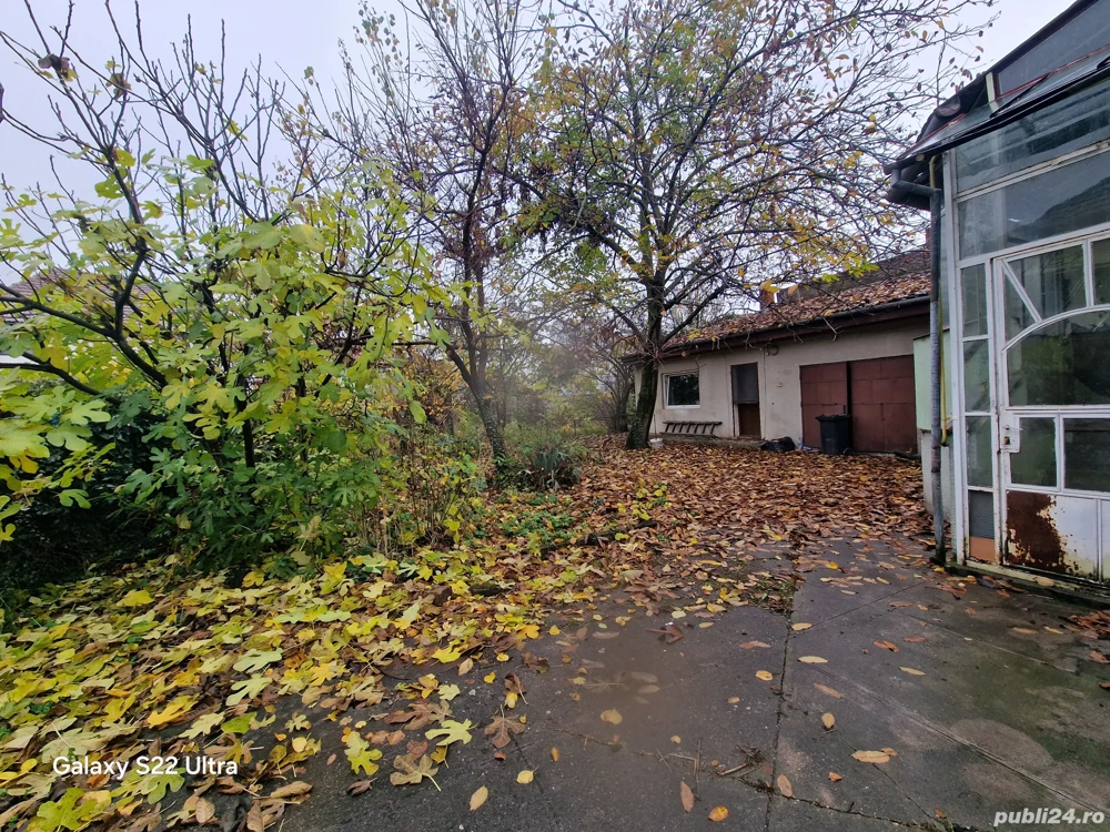 vand teren timisoara complex complex studentesc