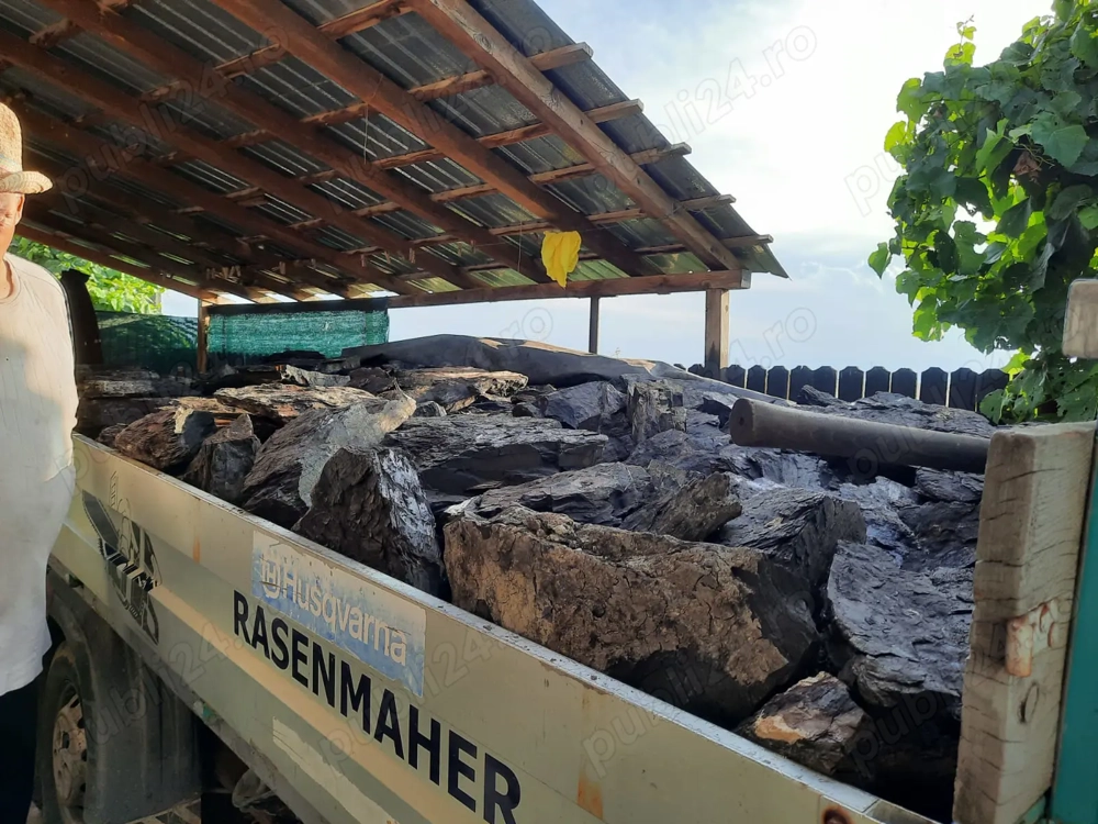 Cărbune lignit pt foc 