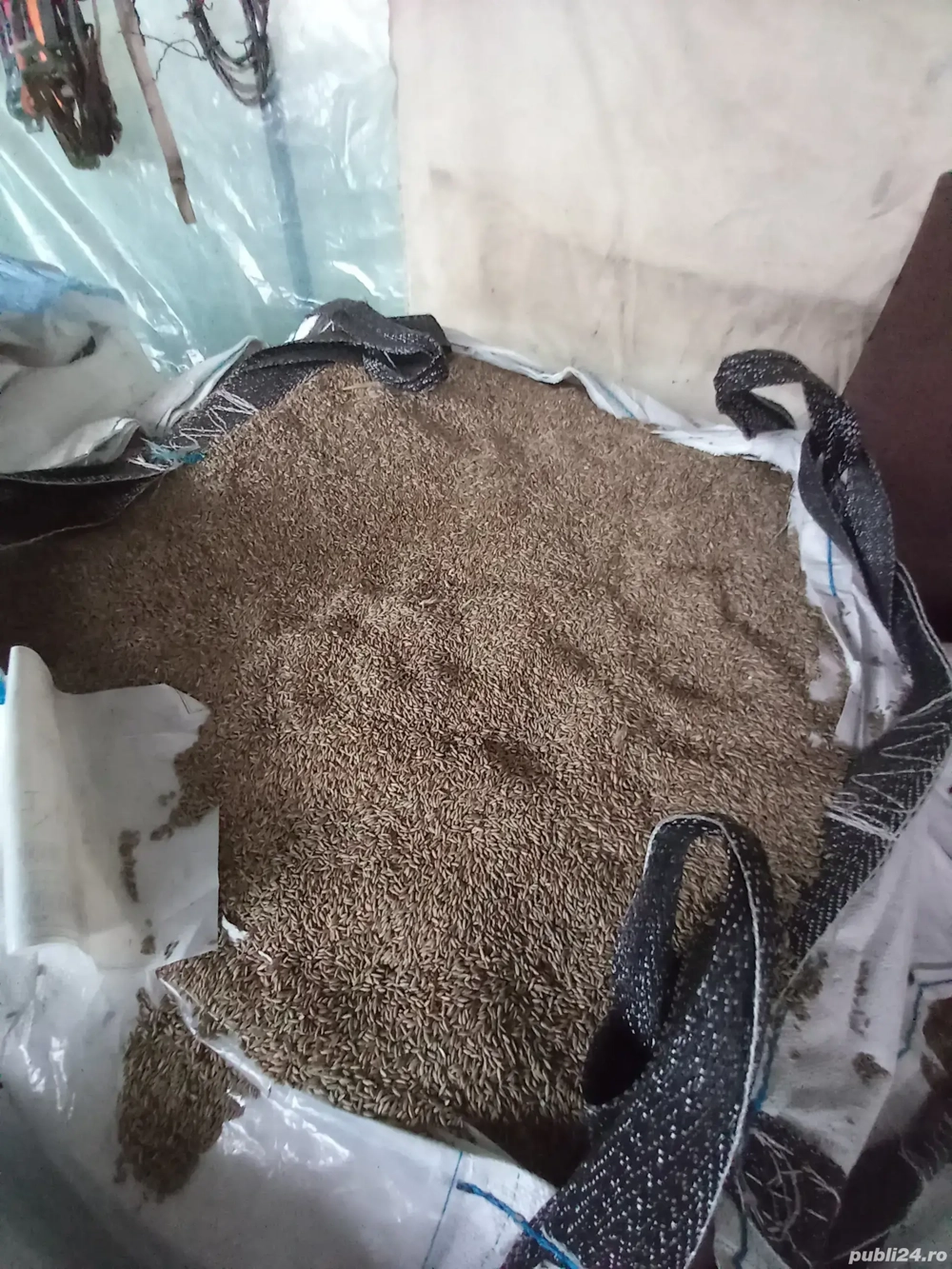 Vand secara producție 2025!