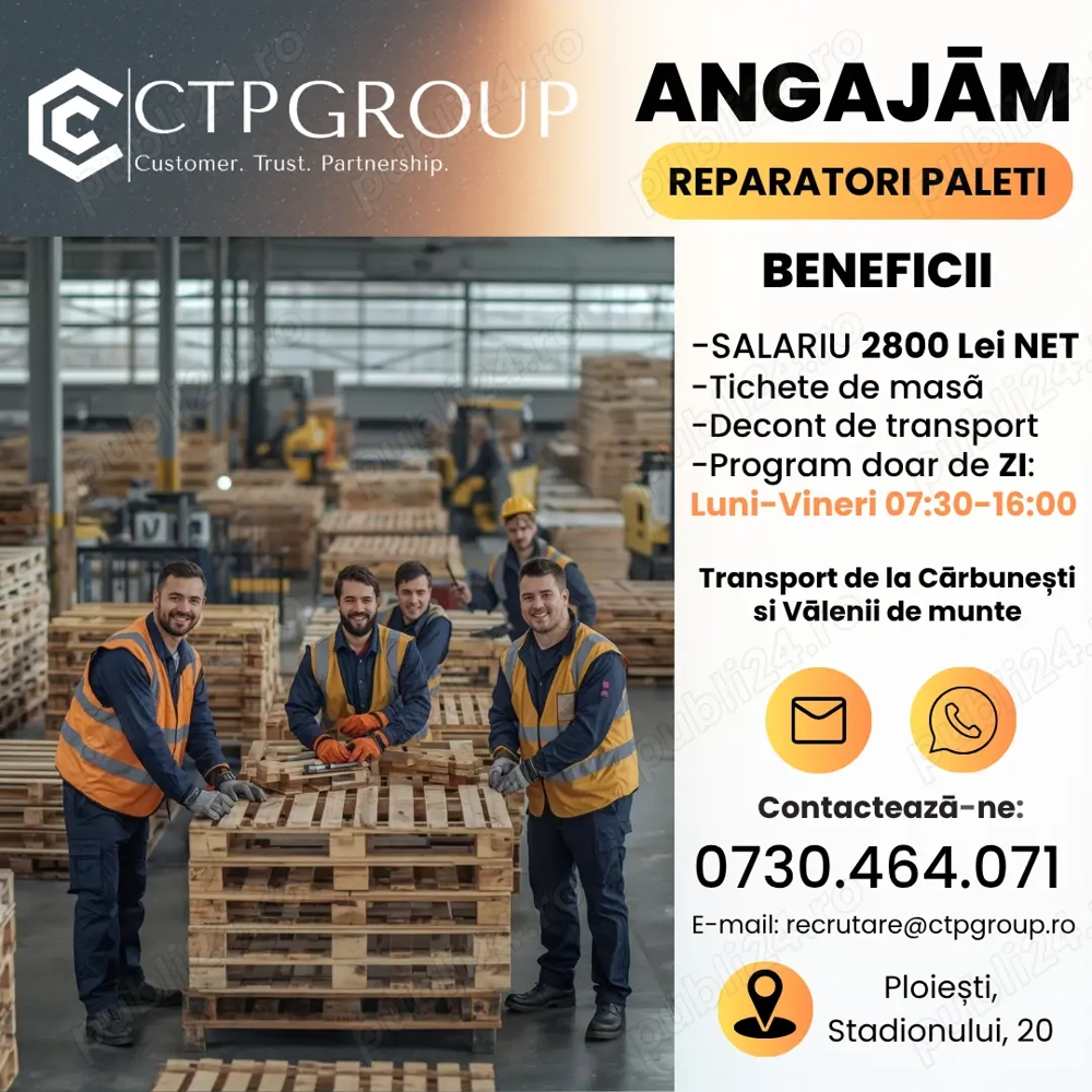 Reparator Paleți Program doar de zi + Bonuri & Transport