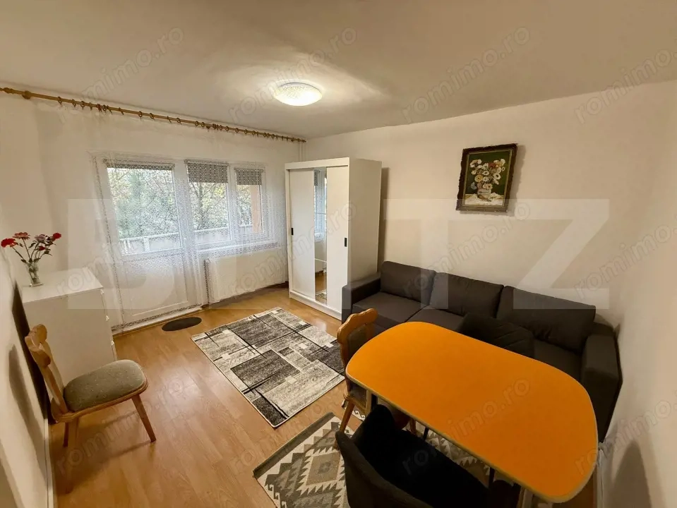 Garsoniera 36 mp, centrala proprie, Etaj 1,  Brazda lui Novac