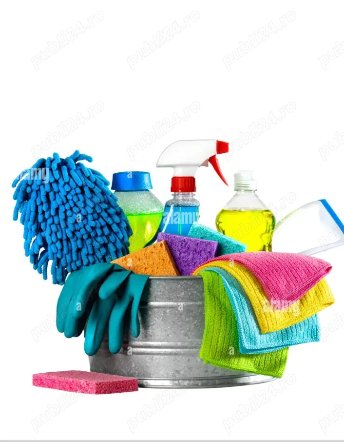 Servicii de menaj și curătenie 