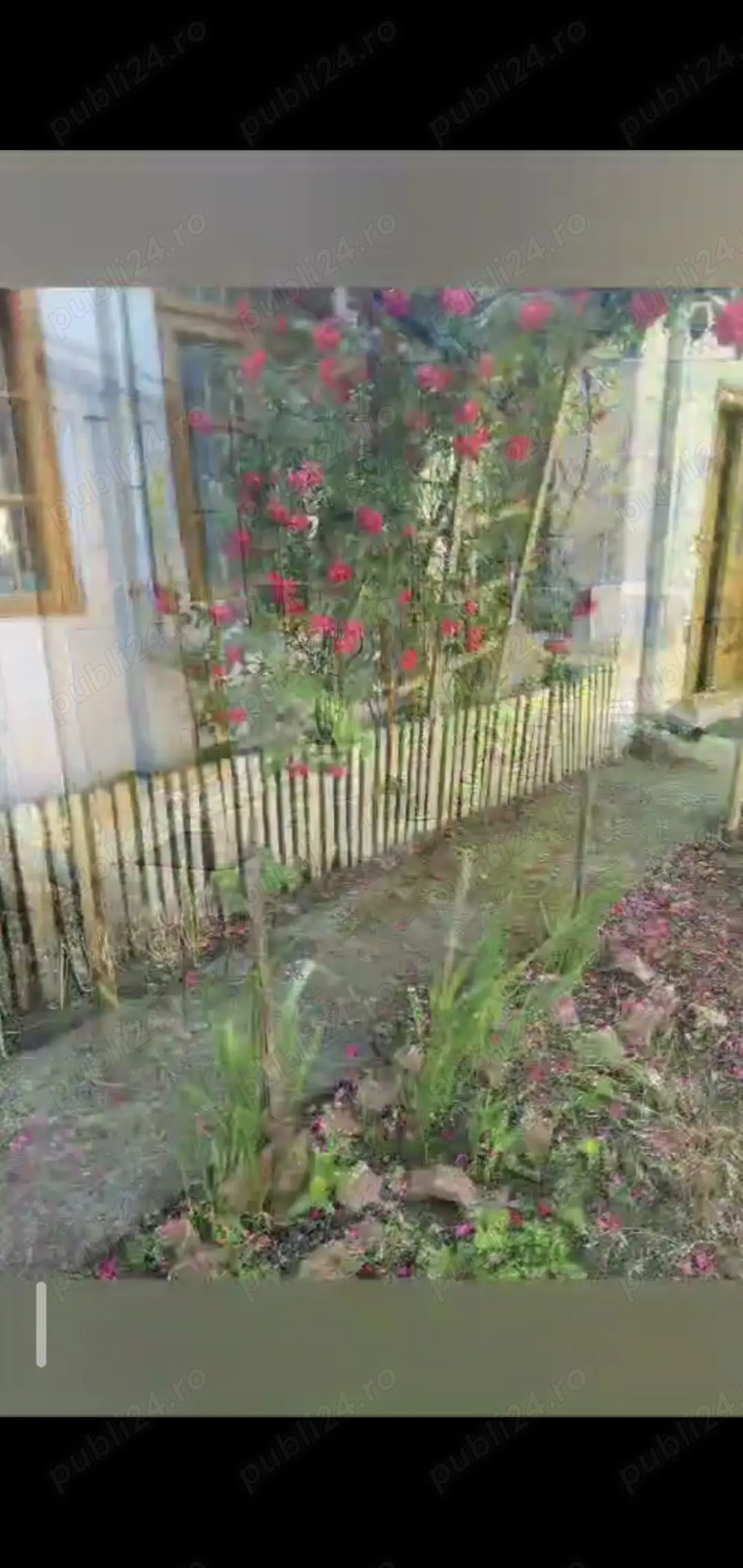 Casa centru Daneti, 80mp, curte si gradina 3.000 mp, apa + curent